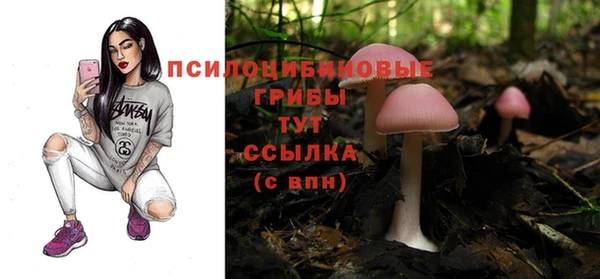spice Корсаков
