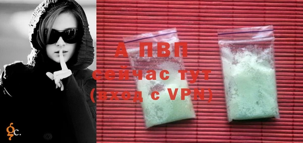spice Корсаков