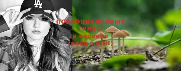 бутират Костерёво