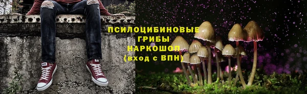 spice Корсаков