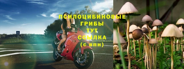 бутират Костерёво