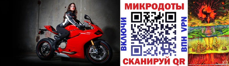 Купить закладки  Южноуральск  Галлюциногенные грибы Psilocybine cubensis 